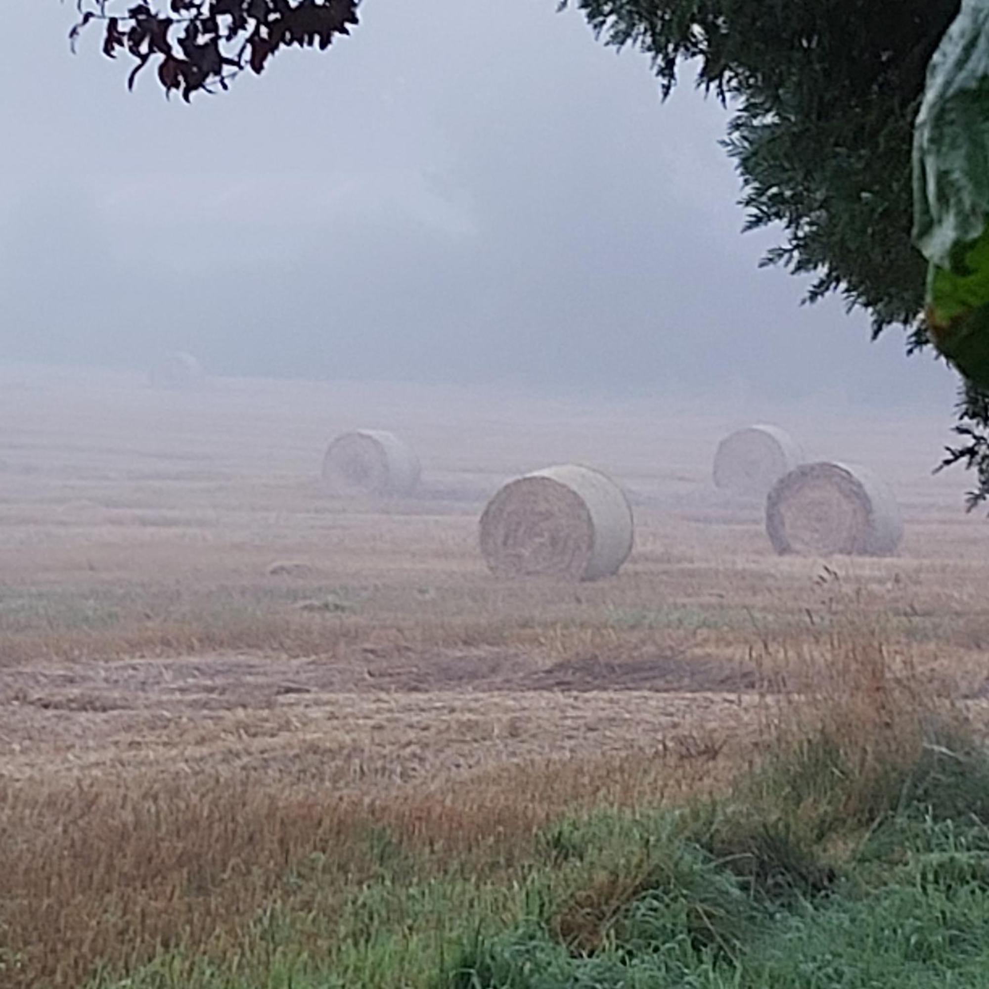 Gabis Ferienwohnung Bendingbostel Zimmer foto